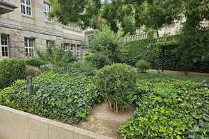 Exceptional apartment in the Kaiser-Friedrich-Therme, in the heart of Wbd. – Wiesbaden – Vorschaubild 3