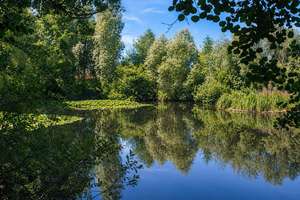 Gemütliche 2-Zimmer-Wohnung mit Balkon im beliebten Kirchsteigfeld – Zum Teich  12, 14480 Kirchsteigfeld, Potsdam – Vorschaubild 3