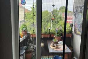 2-Zimmer-Wohnung, gut geschnitten - für den Eigenbedarf oder als Kapitalanlage – Augustastraße 36, 47137 Duisburg – Vorschaubild 8