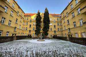 +++schöne vermietete Erdgeschosswohnung mit Gartenanteil+++