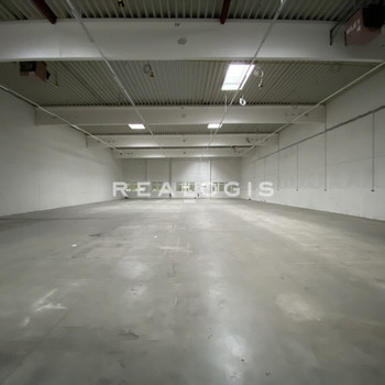 Provisionsfrei | Modern | Rampen | ebenerdige Tore