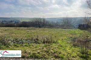 WINCHERINGEN: 348 M² WOHNFL. / 4 GARAGEN / VIEL POTENZIAL! / 27 AR – Die vollständige Adresse der Immobilie erhältst du vom Anbieter., 54457 Wincheringen – Vorschaubild 19
