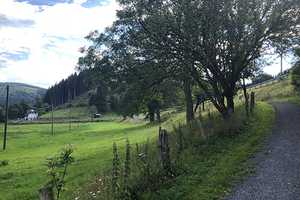 Charmantes Fachwerkhaus im Hochsauerland – Alleinlage – mit vielfältigen Nutzungsmöglichkeiten – Hochsauerlandkreis – Vorschaubild 18