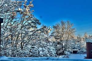 Property thumbnail 13