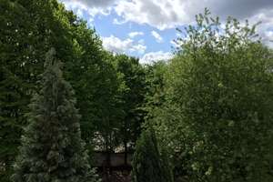 * ab 01.07. * sanierte 2 Raumwohnung, große Wohnküche, Sonnenbalkon, Tageslichtbad – Fröbelstrasse 100, 47053 Hochfeld, Duisburg – Vorschaubild 2