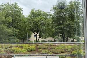 Helle 3,5 Zimmer-Wohnung in Sendling-Westpark – Johann-Clanze-Straße 34, 81369 Mittersendling, München – Vorschaubild 17