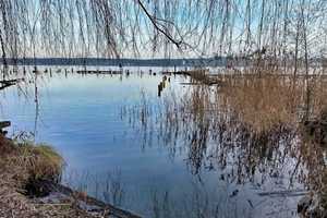Baugrundstück 2. Reihe Bad Saarow Strand – Oder-Spree (Kreis) – Vorschaubild 16