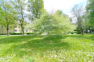 Property thumbnail 15