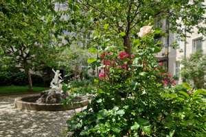 Wohnen im grünen Herzen von Berlin-Friedenau