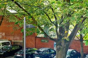 WOHNEN IM OSTEND AM ZOO | 3 Zimmer mit Loggia und kurzen Wegen zum Main, Ostpark & City – 60314 Ostend, Frankfurt am Main – Vorschaubild 2