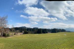 Traumhafte Aussichten - Modernisierte 2 - Zi. - Wohnung in ruhiger Ortsrandlage nahe Oberstaufen – Hochgratstrasse 265, 88179 Oberreute – Vorschaubild 51