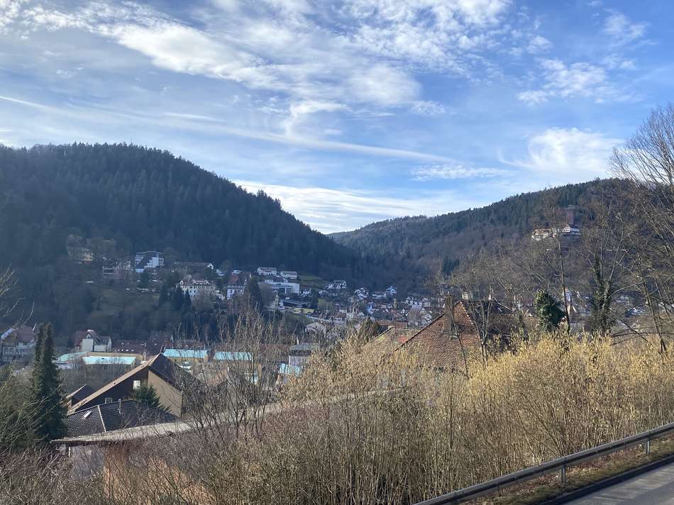 Ausblick