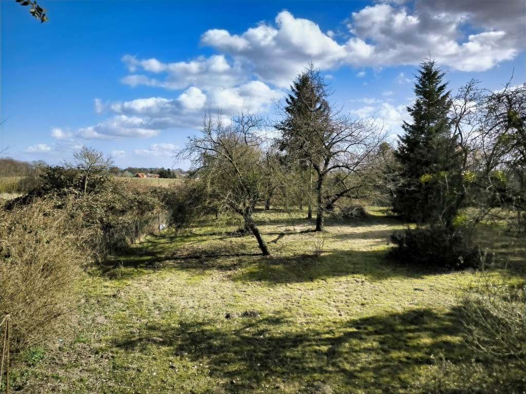 Immobilie in Reichenow-Möglin - Geräumiges Wohnhaus auf großem Grundstück mit Baureserve bietet vielfältige Nutzungsmöglichkeiten - Bild 2