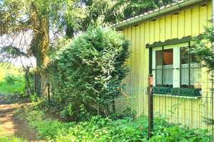 Naturparadies Rheinsberg: Bungalows auf großem Grundstück in Nähe zu zwei wunderschönen Seen – Ostprignitz-Ruppin (Kreis) – Vorschaubild 2