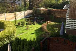 Property thumbnail 13