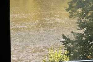 MFH - 3 ETW incl. Gaststätte - TRAUM direkt der Mosel - hochwassersicher - KRÖV - RARITÄT! – Bernkastel-Wittlich (Kreis) – Vorschaubild 2