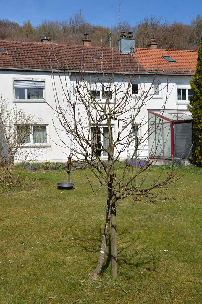 Immobilie in Illertissen - Reihenhaus mit großem Garten, zentrumsnah in Illertissen, PROVISIONFREI - Bild 3