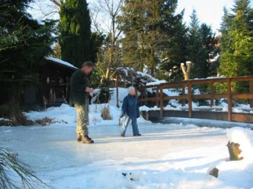 Immobilie in Osterode - Schönes großes Wohnhaus in schöner Lage - Bild 2