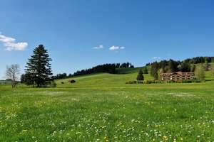Freiheit spüren, Ruhe finden – mit Panoramablick auf die Berge – Die vollständige Adresse der Immobilie erhältst du vom Anbieter., 87637 Seeg – Vorschaubild 31