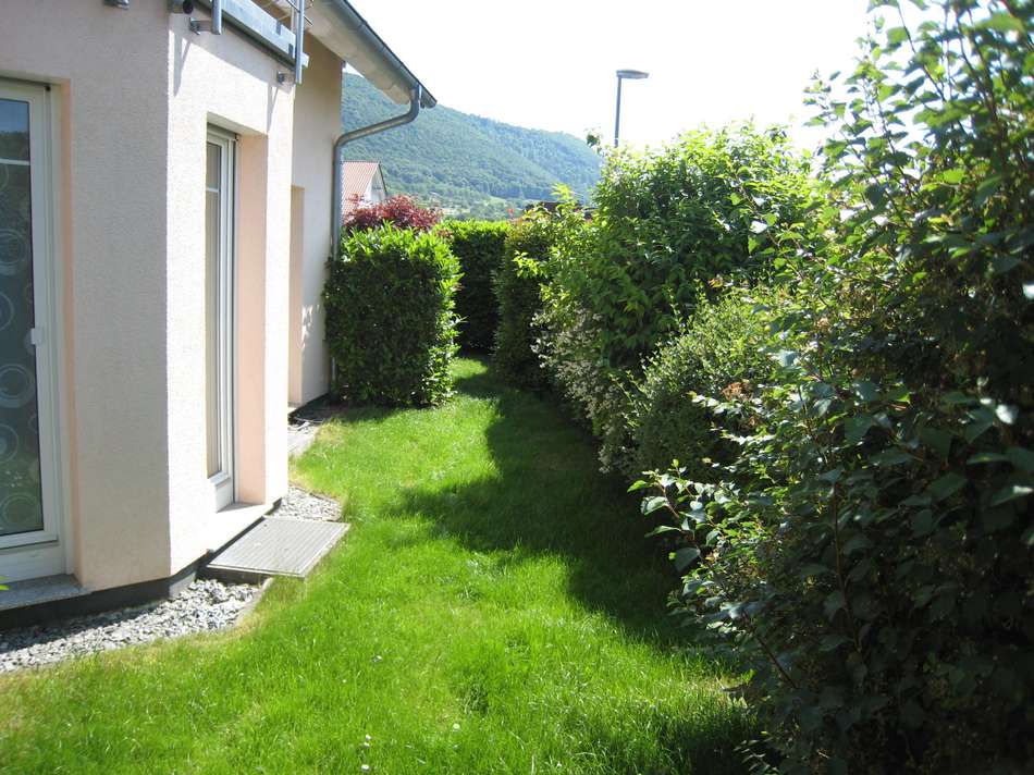 seitlicher Gartenbereich
