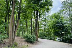 Großzügige 3-Zimmer-Wohnung nahe Schlachtensee zum Verkauf – Matterhornstraße 46, 14129 Zehlendorf, Berlin – Vorschaubild 18