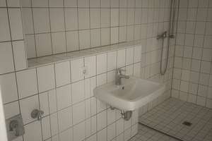 Helle neu renovierte rollstuhlgeeignete Wohnung mit Terrasse/Garten - einziehen wohlfühen – Wattenscheider Hellweg 116, 44869 Westenfeld, Bochum – Vorschaubild 8