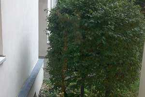 Niedliche 2-Raum-EG-Wohnung mit neuer EBK auf dem Werder – Weidenstraße 8a, 39114 Werder, Magdeburg – Vorschaubild 21