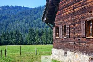 Einzigartiges Naturjuwel in den Allgäuer Alpen – anerkannte Alpe mit Wald- und Weideflächen – Die vollständige Adresse der Immobilie erhältst du vom Anbieter., 87538 Balderschwang – Vorschaubild 1