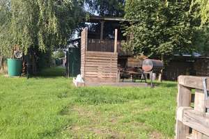 Familientraum mit Pool auf 1.768 m² – Schwedenhaus mit Wohlfühlgarantie – Die vollständige Adresse der Immobilie erhältst du vom Anbieter., 14959 Trebbin – Vorschaubild 36