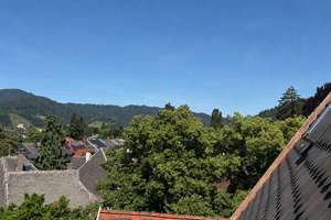 Lichtdurchflutete, charmante Dachgeschosswohnung in der Wiehre – 79100 Unterwiehre-Süd, Freiburg im Breisgau – Vorschaubild 15