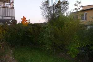 Zuhause mit 2 Zimmern und kleinem Garten, waldnah in Trudering – Hugo-Weiss-Straße 120, 81827 Waldtrudering, München – Vorschaubild 11