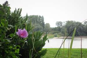 Property thumbnail 23