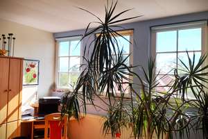 Penthouse-Gefühl in Hellerau: Einzigartige DG-Wohnung m. Fernblick, Loggia & Carport & EBK prov.frei – Die vollständige Adresse der Immobilie erhältst du vom Anbieter., 1109 Hellerau/Wilschdorf, Dresden – Vorschaubild 8