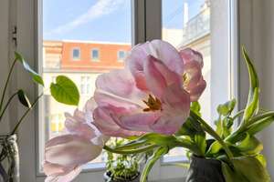 Property thumbnail 23