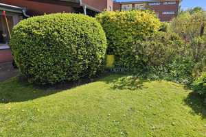 Familienfreundliches Reihenhaus mit Garten, Kamin & Platz zum Leben – zentral in Tessin – Bad Doberan (Kreis) – Vorschaubild 8