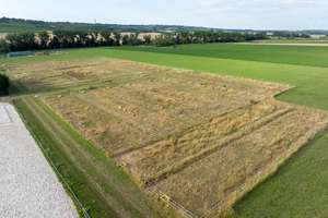 Moderne Reitanlage mit Wohnhaus – Toplage im Rhein-Main-Gebiet – Die vollständige Adresse der Immobilie erhältst du vom Anbieter., 55271 Stadecken-Elsheim – Vorschaubild 20