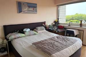 Vermietete 2,5 Zimmer-Wohnung mit Balkon in 47226 Duisburg-Rheinhausen "Nähe Volkspark" – Die vollständige Adresse der Immobilie erhältst du vom Anbieter., 47226 Hochemmerich, Duisburg – Vorschaubild 5