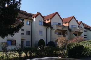 Wohnen mit Charakter: Ein-Zimmer-Wohnung in Edigheim