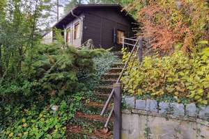 Kanada-Flair-Waldbaden und Auszeit genießen im Ferienhaus mit Nebengebäude u. Garage in Waldrandlage – Die vollständige Adresse der Immobilie erhältst du vom Anbieter., 92259 Neukirchen bei Sulzbach-Rosenberg – Vorschaubild 7