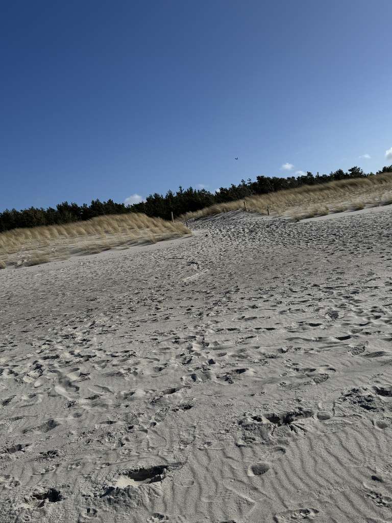 Immobilie in Dierhagen - 3 Zimmer Maisonette-Wohnung in Dierhagen mit Garage - Bild 0