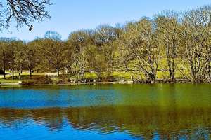 Property thumbnail 20