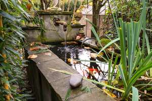 Wir haben Nemo gefunden - Charmantes Gartenidyll mit Entspannungsgarantie – Die vollständige Adresse der Immobilie erhältst du vom Anbieter., 51147 Libur, Köln – Vorschaubild 9