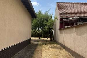 Schöner Altbau-Bungalow – Schubertstraße 1, 68799 Reilingen – Vorschaubild 14