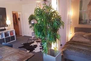 Möblierte 1 Zimmer Wohnung in Bestlage – Poststraße 5/1, 69115 Bergheim, Heidelberg – Vorschaubild 3