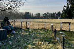 Property thumbnail 29