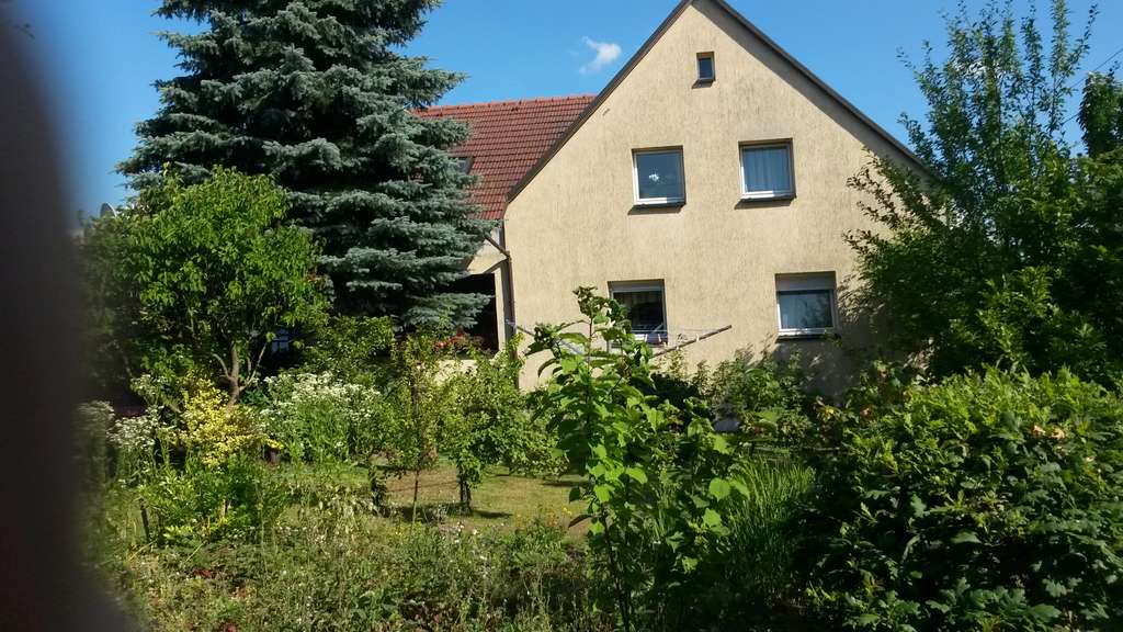 Immobilie in Wachau - Idyllisches Grundstück in unmittelbarer Nähe zu Radeberg - Bild 1