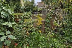 Zweifamilienhaus mit einem separaten Wohnnebengebäude und sehr besonderen Garten in Oberhausen – Karlsruhe (Kreis) – Vorschaubild 56