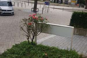Wohnen mit Charakter: 2,5-Zimmer-Wohnung in Stuttgart-Hofen – Hartwaldstr. 73, 70378 Hofen, Stuttgart – Vorschaubild 3