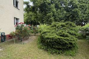 Schöne Wohnung in Spandau mit Garten und Carport! – Weissenburgerstrasse 31, 13595 Wilhelmstadt, Berlin – Vorschaubild 12