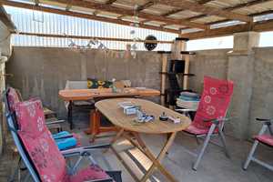 Landhaus für Gartenfreunde und Tierhalter! – Oder-Spree (Kreis) – Vorschaubild 35
